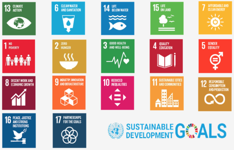 Provident Learning, Provlil, Corporate Training, Banking, ESG, Green Finance, Credit Risk Management, 2030 SDGs Game, Class Training, Bespoke Individual Tutoring