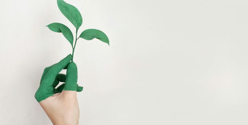 Provident Learning, Provlil, Corporate Training, Banking, ESG, Green Finance, Credit Risk Management, 2030 SDGs Game, Class Training, Bespoke Individual Tutoring