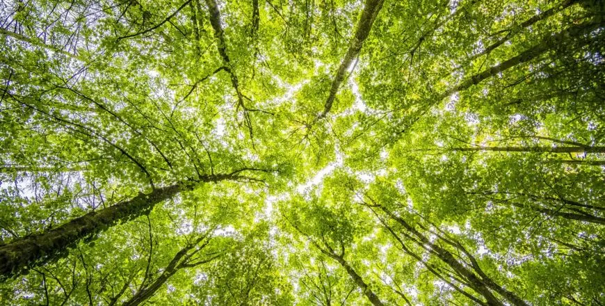 Provident Learning, Provlil, Corporate Training, Banking, ESG, Green Finance, Credit Risk Management, 2030 SDGs Game, Class Training, Bespoke Individual Tutoring