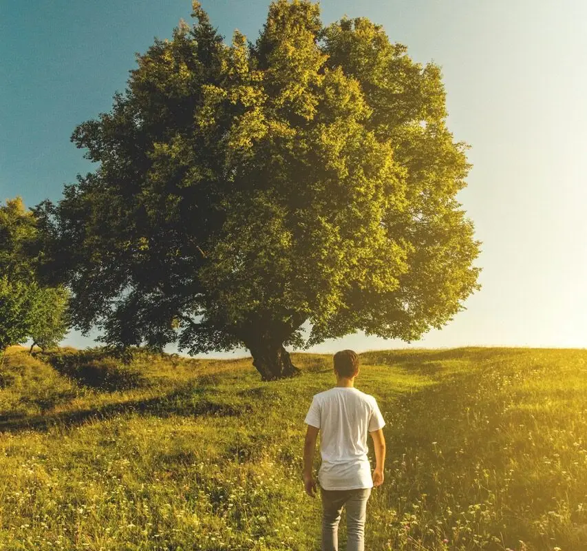 Provident Learning, Provlil, Corporate Training, Banking, ESG, Green Finance, Credit Risk Management, 2030 SDGs Game, Class Training, Bespoke Individual Tutoring